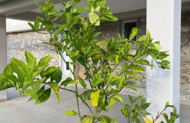 Villa Evanthia - Foto 42