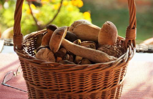 Ferienhaus IRENE - Foto 41