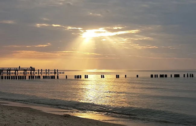 Apartment, Zingst - Foto 80