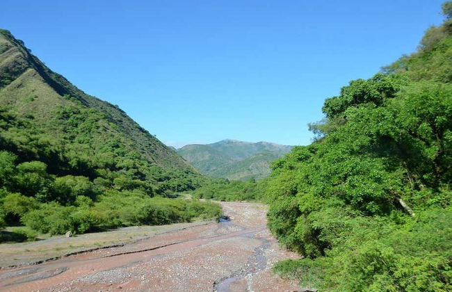 Rota do tabaco pelo Vale de Lerma - Foto 4