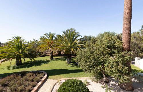 Palmeiras Cottages - Photo 23