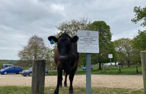 A charming and stylish country cottage. - Foto 16