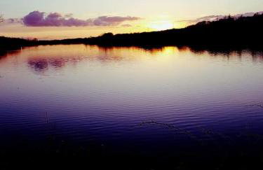 Churchview - Foto 64