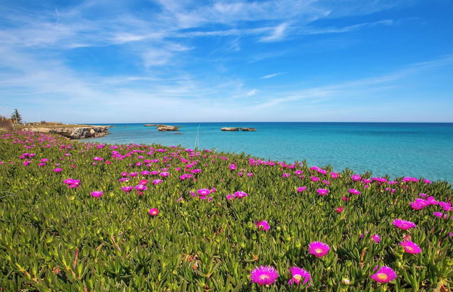 2938 Palma Residence- Appartamento Zephyrus by Barbarhouse - Foto 31