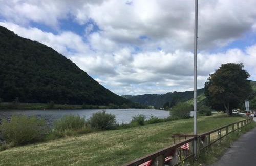 Alter Winzerhof - Foto 21