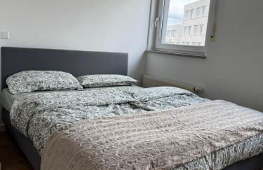 1-Zimmer Apartment, Zentraler Lage - Foto 10