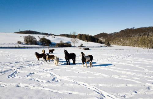 Ferienhof Homann Sauerland - Foto 31