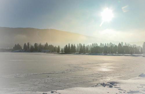 Au Coeur de Prémanon - Foto 25