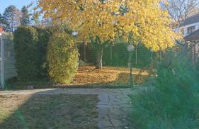 Schöne EinliegerWhg (74m²) in Villa mit Traumlage - Foto 44