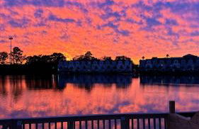 Sunset Serenity!!-Tropical Waterfront Oasis-Huge Private Patio-10Min to KingSt & Beaches - Foto 1