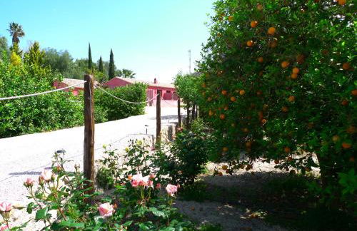 La Joya del Valle de Ricote - Foto 10