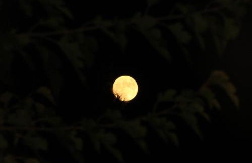 Alojamientos Rurales Cortijo Las Golondrinas - Foto 32