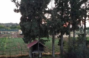 Afroditi Country Residence - Photo 36