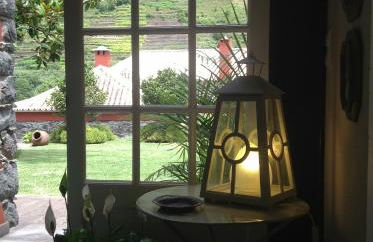 Palheirinho da Camélia - Foto 33