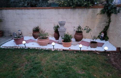 Αυλή της Ελιάς - Foto 34