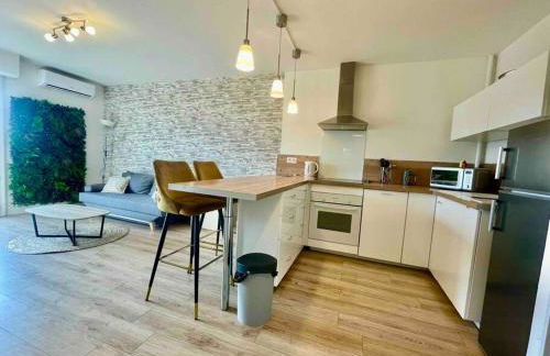 Jolie T2 40m2 hôpitaux avec terrasse et parking - Foto 4