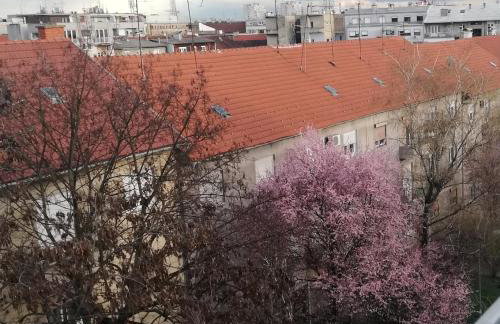 Kupola 32 Apartment - Photo 33