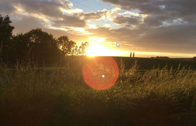 Hof Kiebitz - In Ostrau - Foto 22