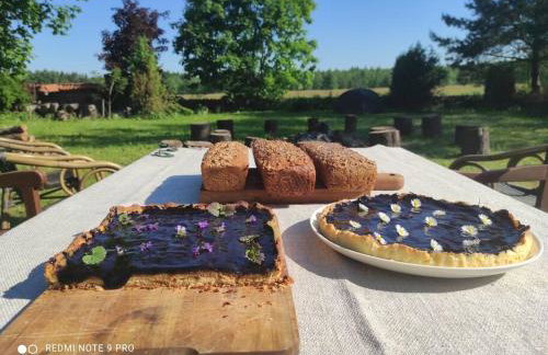 Komfortowy dom wakacyjny dla kilku rodzin - Foto 54