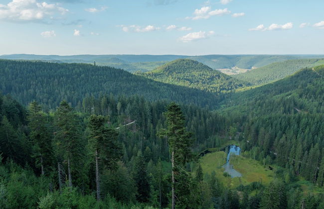 Ferienwohnung im Malerischen Kniebis - Foto 38