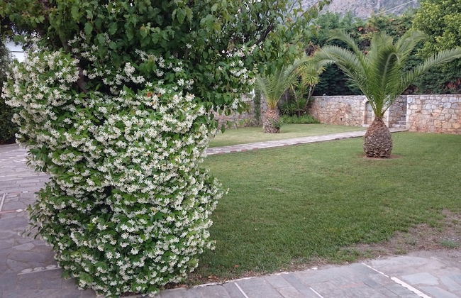 Messinian Blue SeaSide Villa - Photo 26