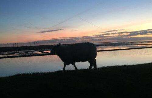 Klangwald Sylt HOUSE | Apartment *Anker* - Foto 38