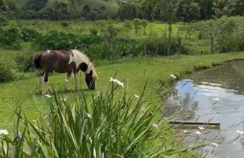Fazenda Montanhes - Foto 48