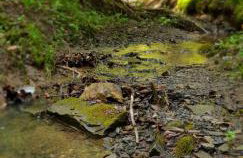 Przystanek Letnisko - Foto 24