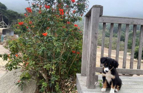 Pacific Coast Highway Milkhouse - Foto 10