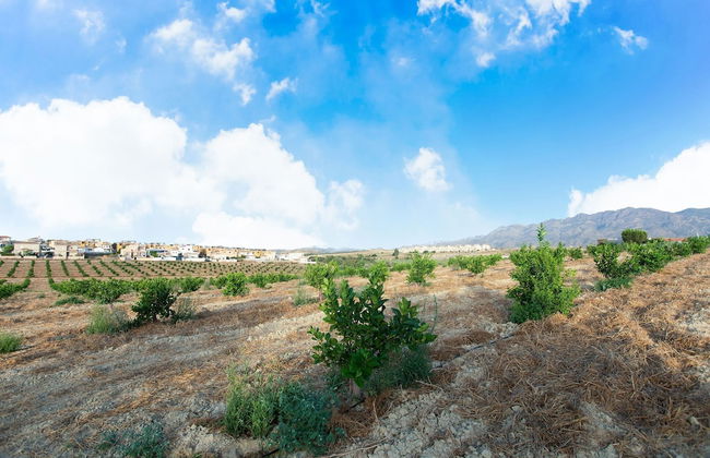 Spacious Holiday Home in Los Gallardos With Swimming Pool - Photo 30