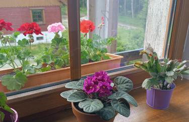 Strażnica Pod Lasem - Foto 48