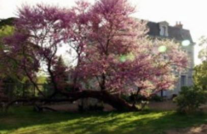 Appartements détente & nature - Domaine de La Thiau - Photo 71