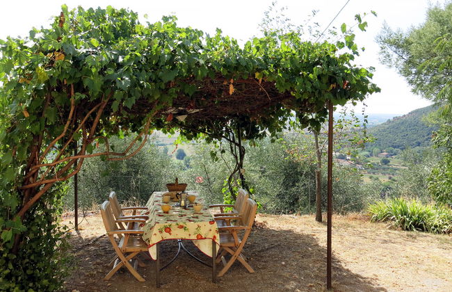 L'Uccelliera - Foto 3