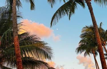 Naluum Milagres - Foto 8