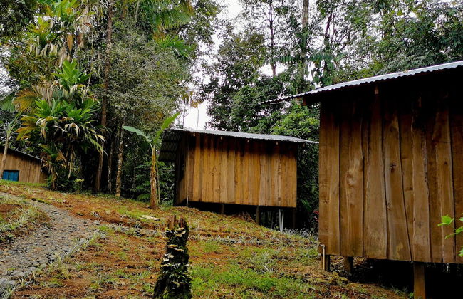 Citronela Lodge Corcovado - Foto 7