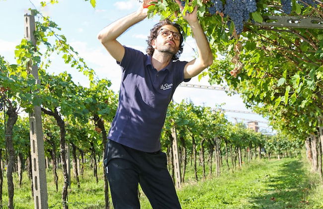 Agriturismo La Rocca - Foto 48