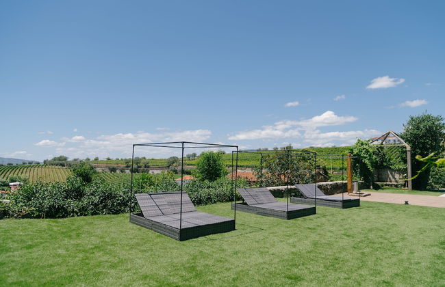 Quinta Vale de Sousa - Douro Valley - Foto 65