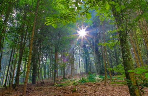 Apartment im Luftkurort Kißlegg, frisch renoviert, Balkon, Boxspringbetten, SmartTV, Playstation, Kaffevollautomat, ruhig, familienfreundlich - Foto 4