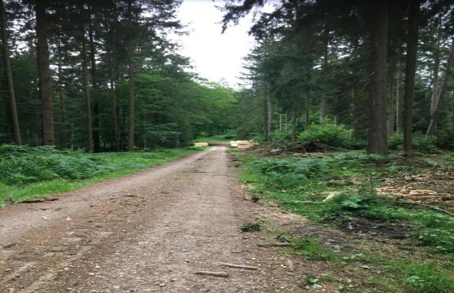 Cosy Apartment in Altshausen Near Castle - Foto 37