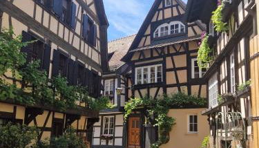 Ferienwohnung Blumenfeld - Foto 5