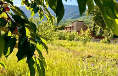 CASA RURAL MOLINO DEL JERTE - Foto 22
