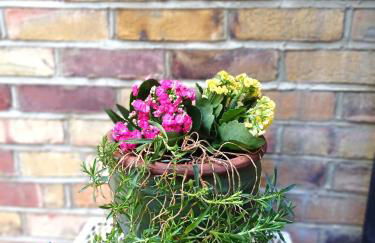 Olympia Terrace - Foto 44