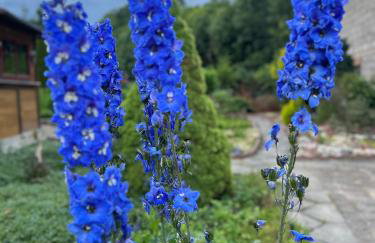 Izerski Poranek - Foto 7
