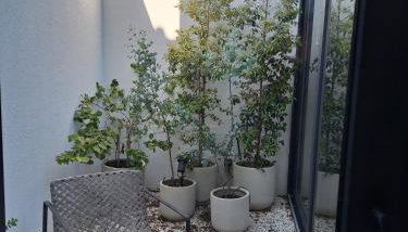 Luxury Green Apartment in The Historic Centre Aveiro - Foto 5