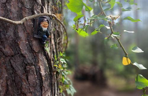 HomeWood - Popowo Letnisko - Foto 17