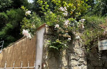 Vacanze toscane Relax privacy - Foto 33