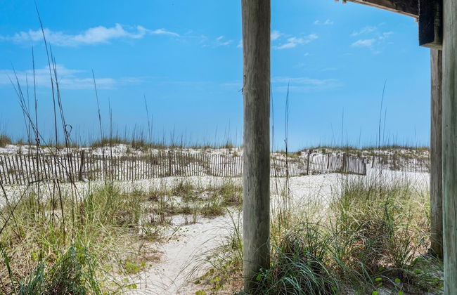 White Sands 459 - Photo 31