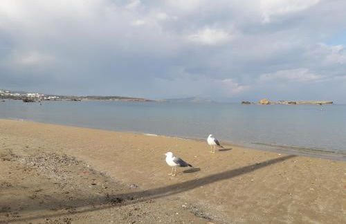 Endless Blue - Foto 33