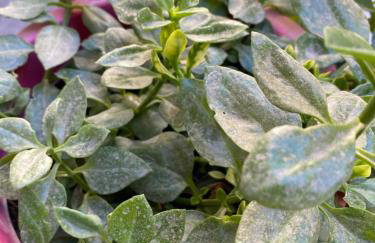 Jordans appartment - Foto 35