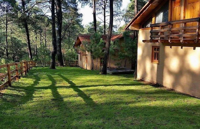 Cabanas Los Abuelos - Foto 18